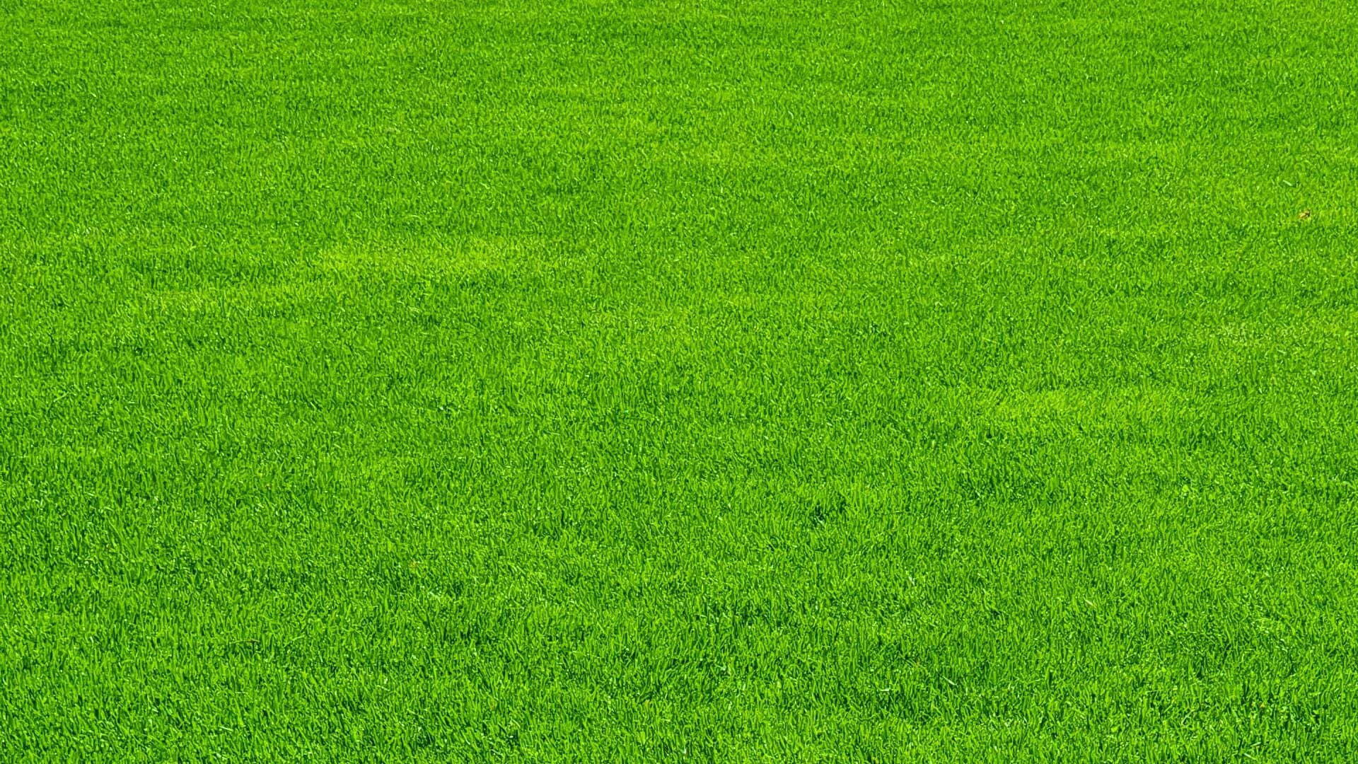 Fondo de campo de fútbol